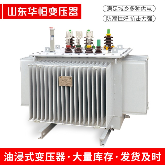 S13-10000/35双湖双湖双湖电力变压器